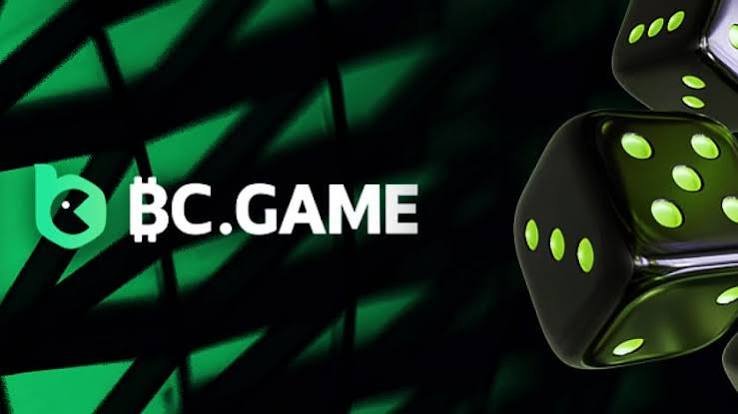 BC.Game Romania Login Process Your Gateway to Online Gaming